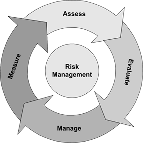 financial risk management process